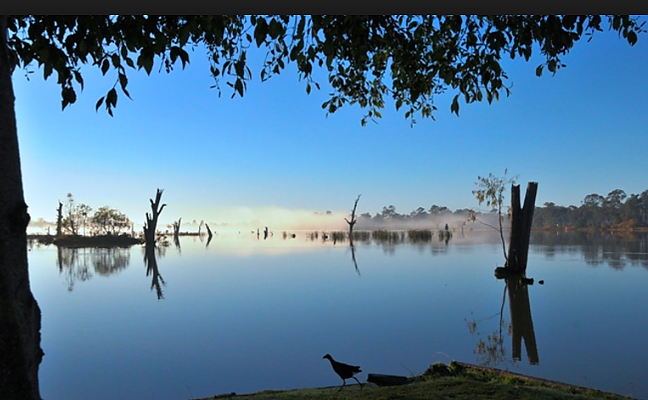 www.nagambielakestourism.com.au