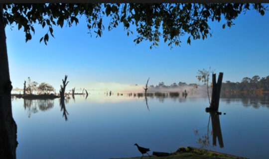 www.nagambielakestourism.com.au